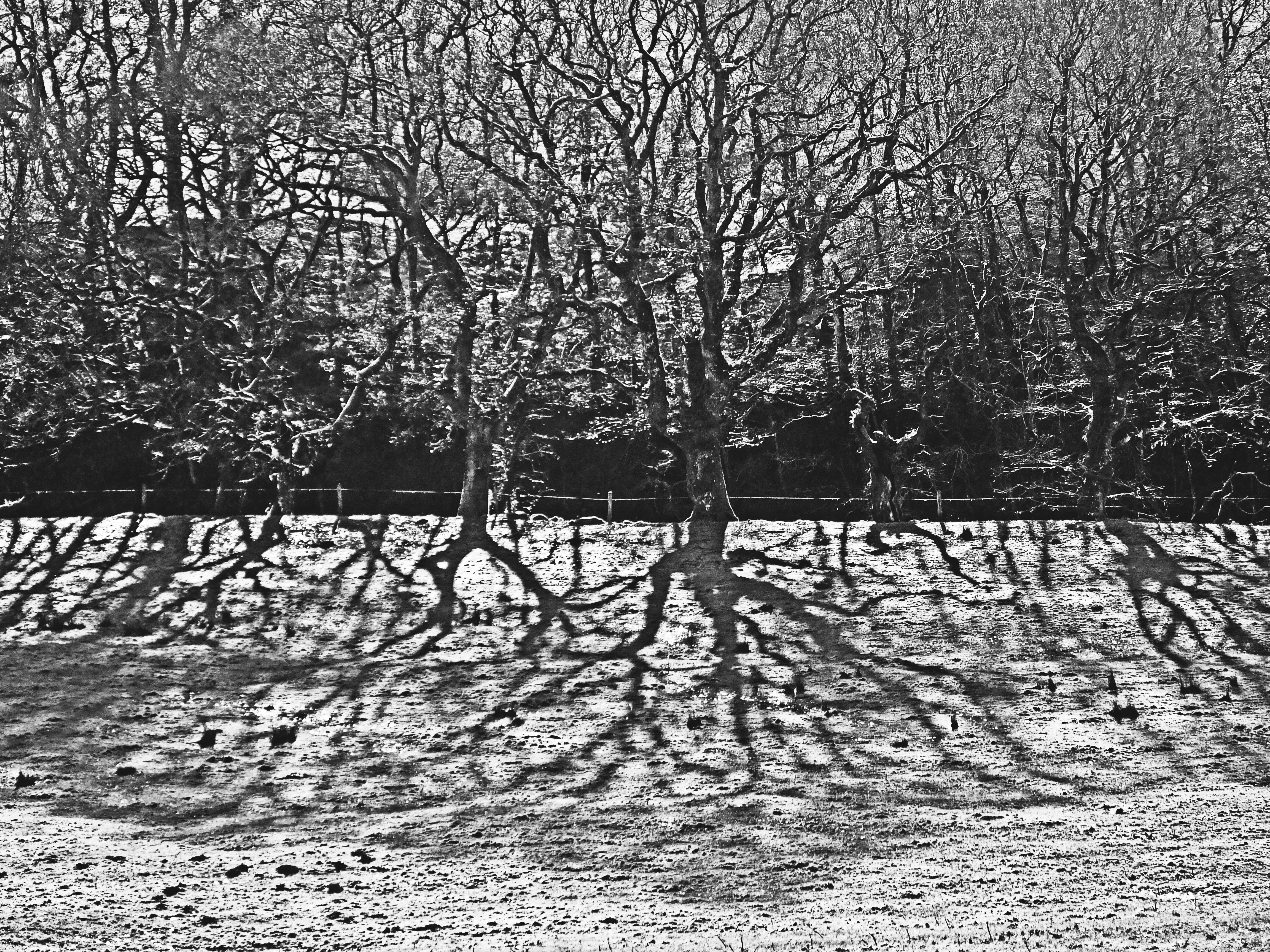 IN THE BLEAK MID WINTER Bill Bagley Photography